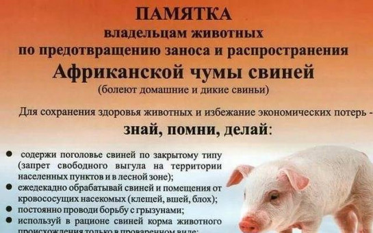 Памятка населению по АЧС. Обращаем ваше внимание на необходимость строгого соблюдения санитарно-ветеринарных правил содержания домашних животных, проведения профилактических мероприятий, а также своевременной ликвидации возможных локальных вспышек..