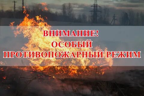 В Воронежской области рекордно рано введут противопожарный режим Ограничения начнут действовать с 30 марта.